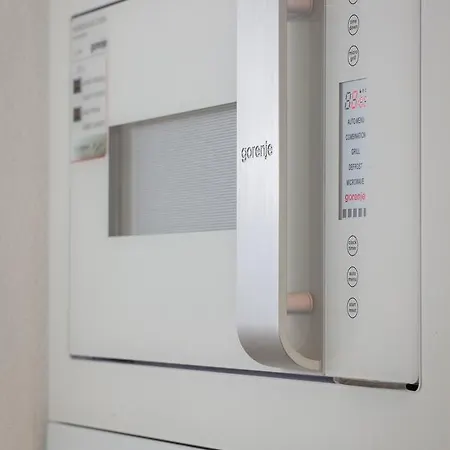 Apartman Penthouse Mak
